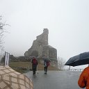tor (8)